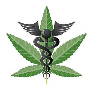 medical marijuana law Florida