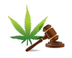 florida law marijuana
